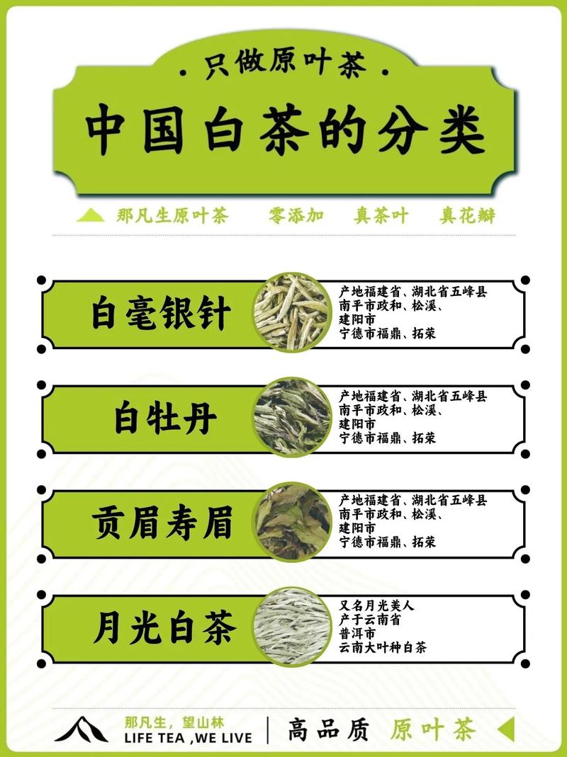 白茶入门常识(如何给大家讲解白茶)-第5张图片-牛逼常识网 白茶入门常识(如何给大家讲解白茶)-第5张图片-牛逼常识网