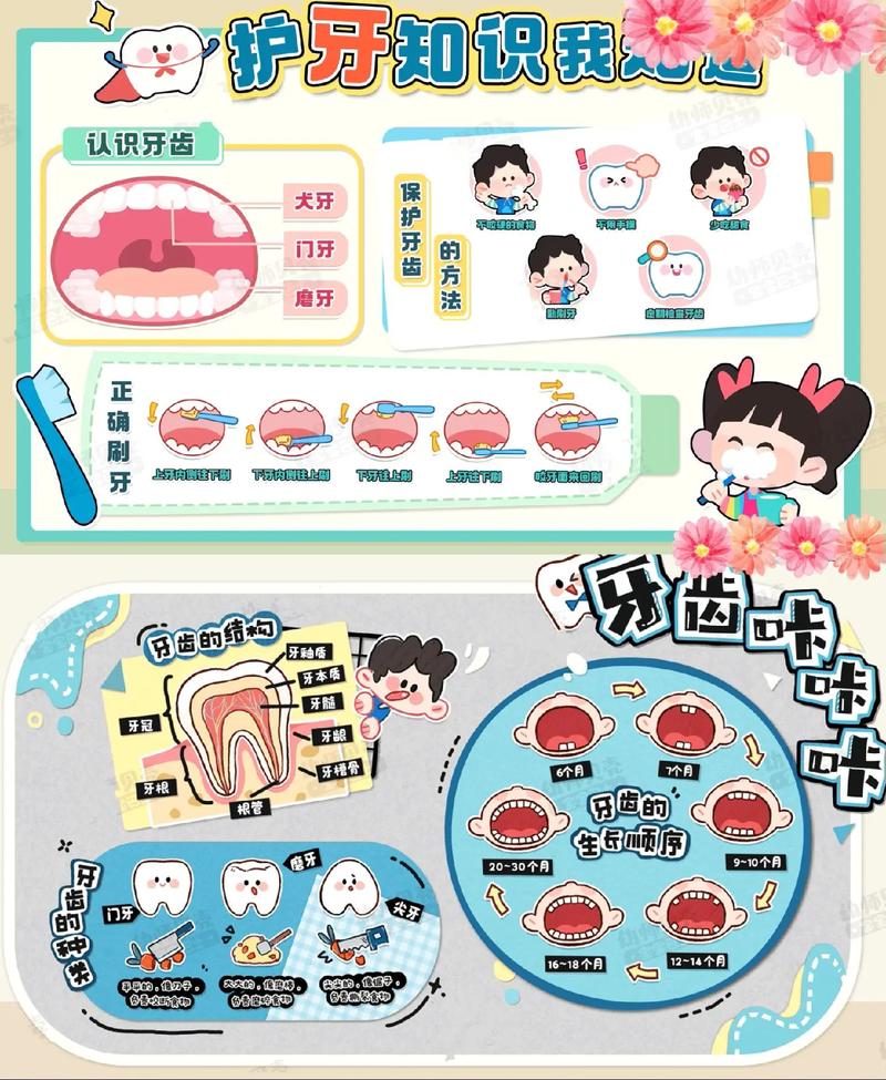 小孩护牙常识,小朋友护牙-第3张图片-牛逼常识网 小孩护牙常识,小朋友护牙-第3张图片-牛逼常识网
