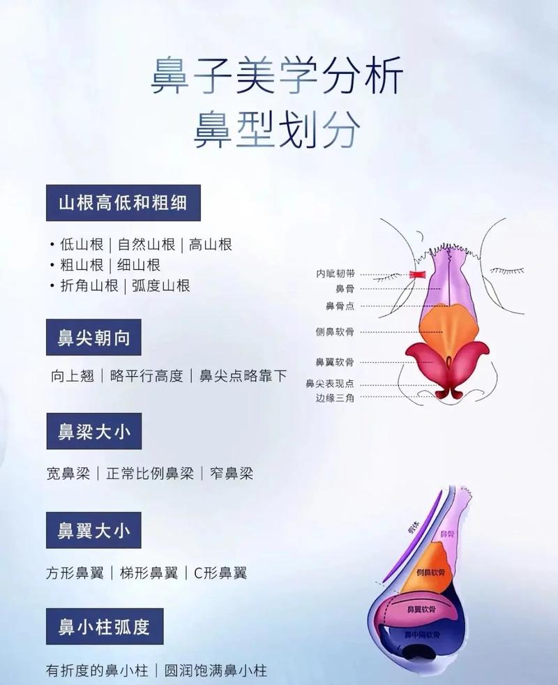 隆鼻常识医院(隆鼻常识医院能做吗)-第1张图片-牛逼常识网 隆鼻常识医院(隆鼻常识医院能做吗)-第1张图片-牛逼常识网