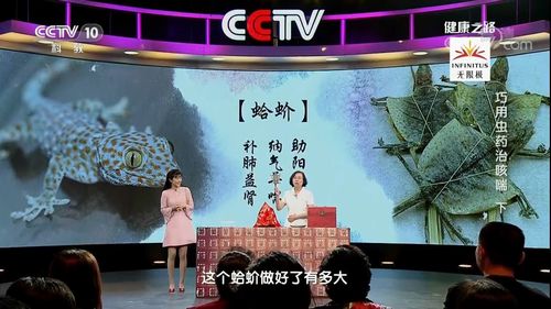 健康常识宣讲视频 - 健康常识宣讲视频完整版-第3张图片-牛逼常识网 健康常识宣讲视频 - 健康常识宣讲视频完整版-第3张图片-牛逼常识网