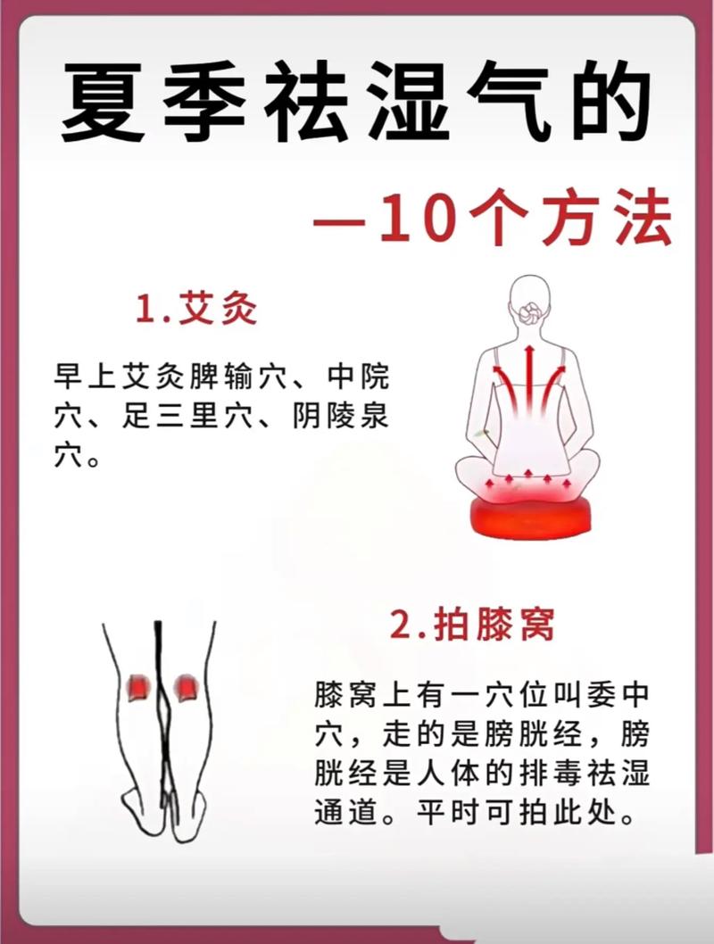 夏季养生常识科普(夏季养生常识科普知识大全)-第1张图片-牛逼常识网 夏季养生常识科普(夏季养生常识科普知识大全)-第1张图片-牛逼常识网