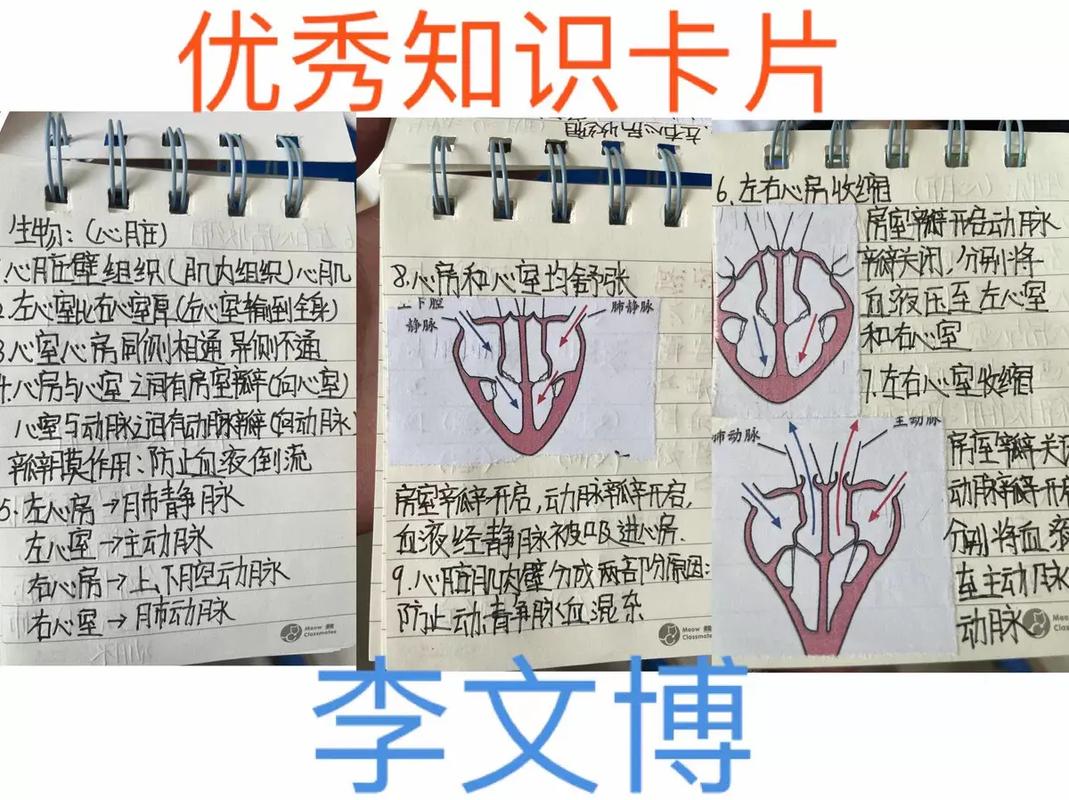 儿童常识卡片 - 儿童卡片介绍-第6张图片-牛逼常识网 儿童常识卡片 - 儿童卡片介绍-第6张图片-牛逼常识网