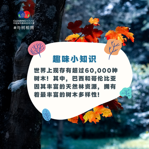 树木移植常识 - 树木移植管理办法-第6张图片-牛逼常识网 树木移植常识 - 树木移植管理办法-第6张图片-牛逼常识网
