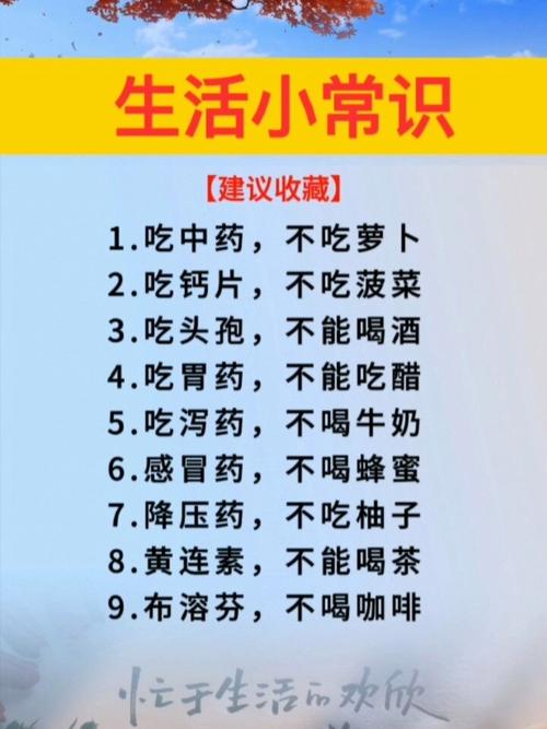 怎么利用常识 - 常识应该如何备考-第4张图片-牛逼常识网 怎么利用常识 - 常识应该如何备考-第4张图片-牛逼常识网