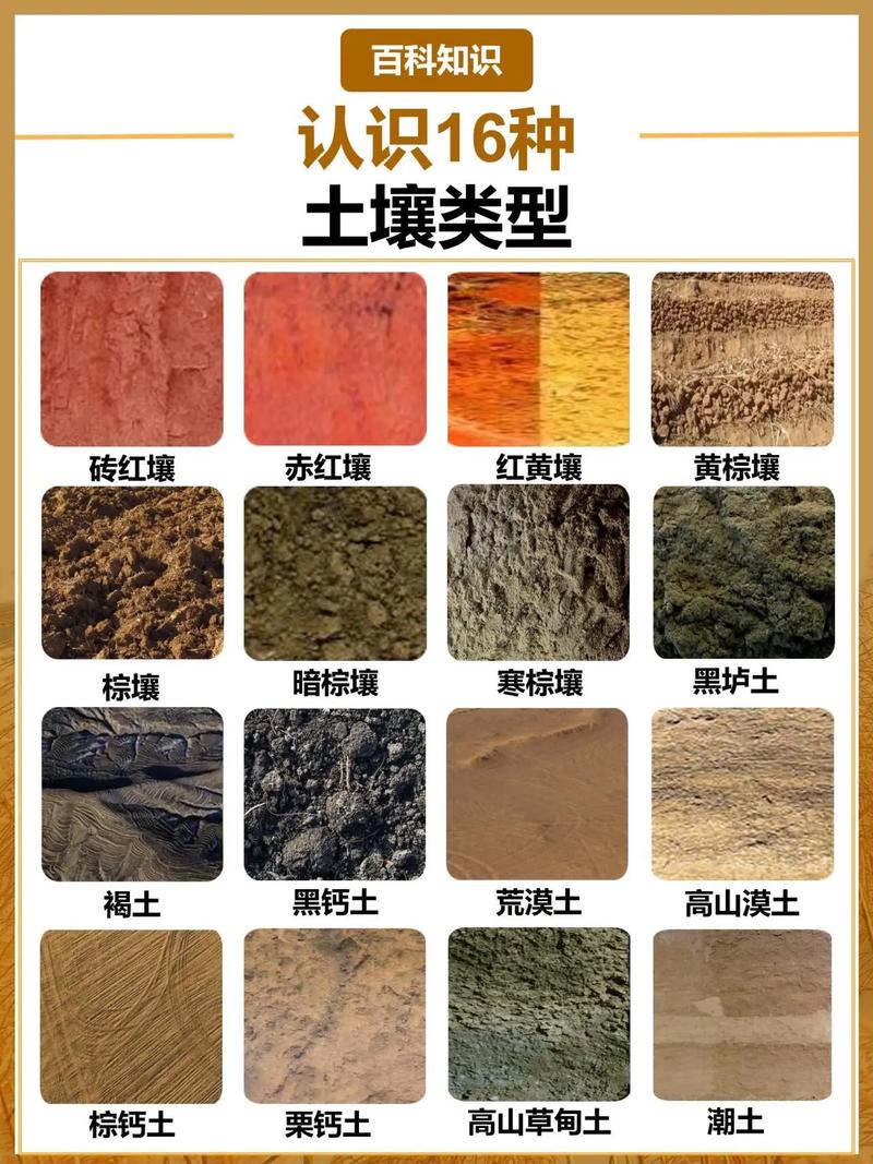 地理常识网站 - 地理常识全知道-第1张图片-牛逼常识网 地理常识网站 - 地理常识全知道-第1张图片-牛逼常识网