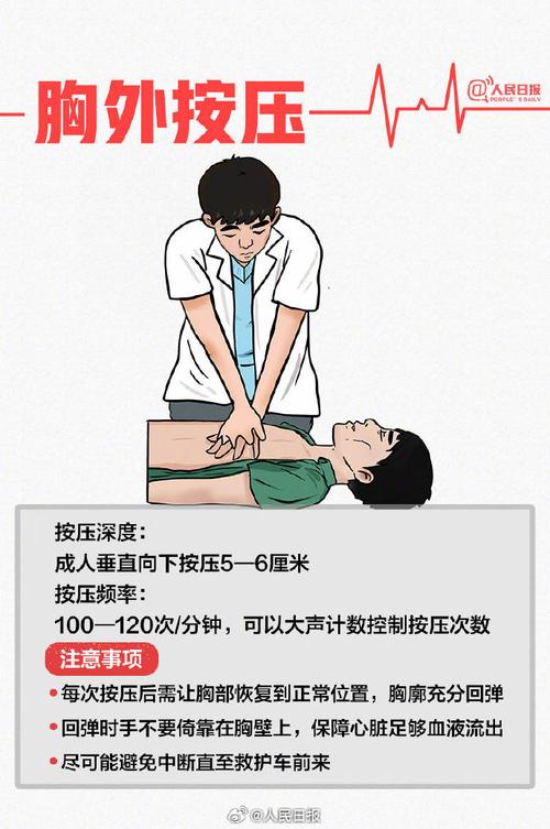 心脏自救常识,心脏 自救-第2张图片-牛逼常识网 心脏自救常识,心脏 自救-第2张图片-牛逼常识网