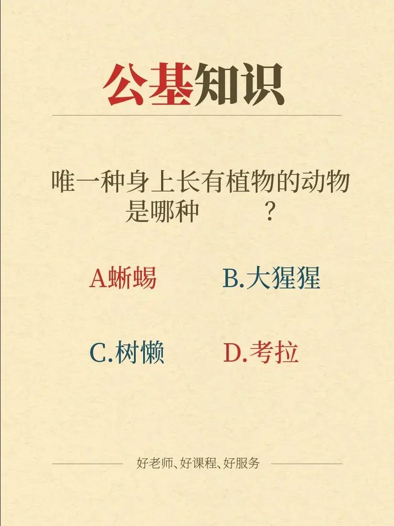 文化政治常识 - 文化政治常识有哪些-第2张图片-牛逼常识网 文化政治常识 - 文化政治常识有哪些-第2张图片-牛逼常识网