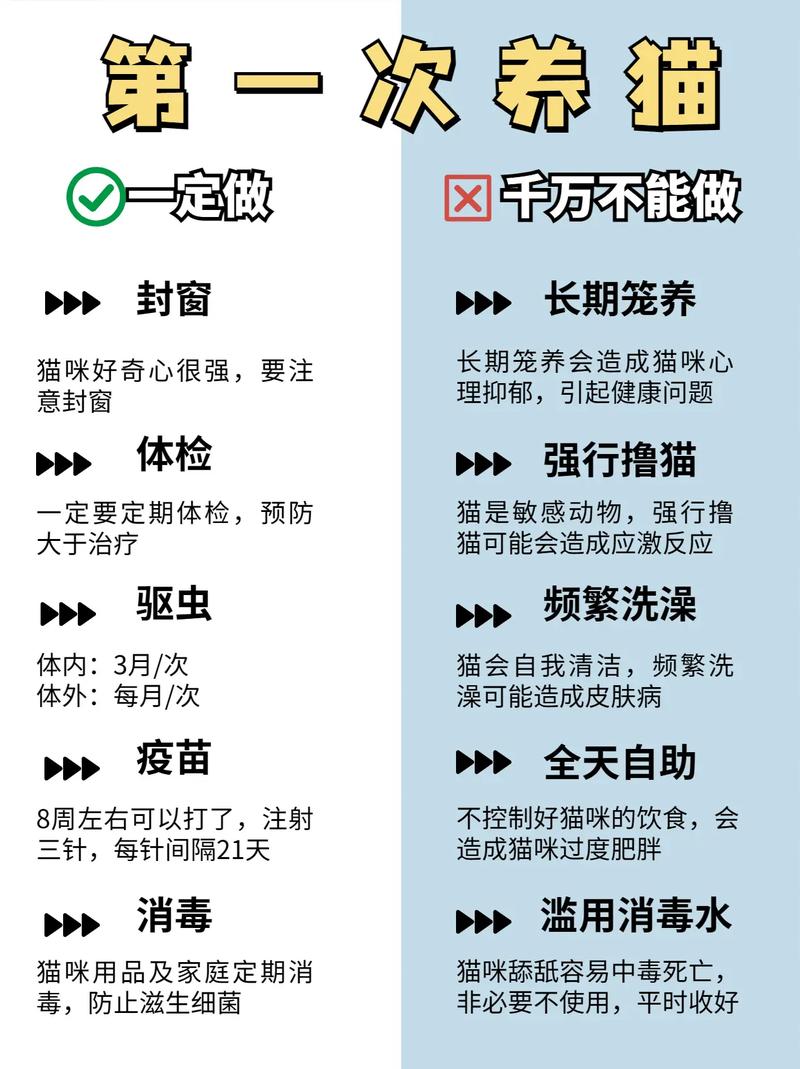 小白养猫常识,养猫小白注意什么-第1张图片-牛逼常识网 小白养猫常识,养猫小白注意什么-第1张图片-牛逼常识网