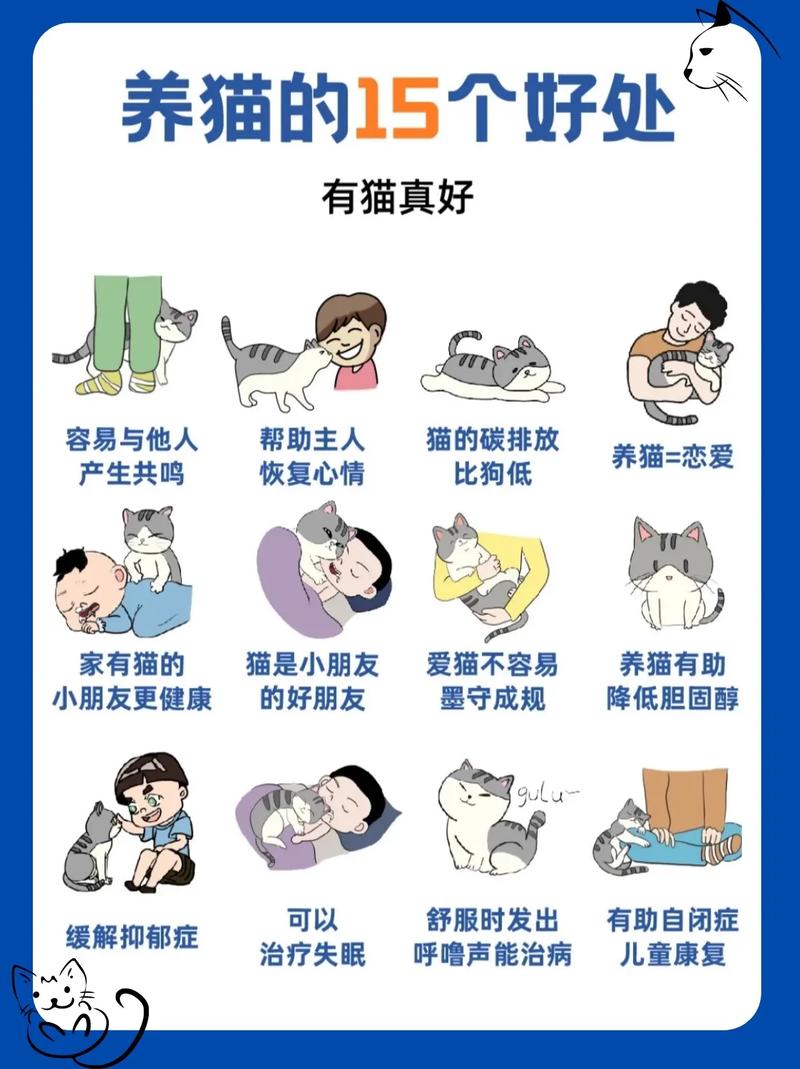小白养猫常识,养猫小白注意什么-第3张图片-牛逼常识网 小白养猫常识,养猫小白注意什么-第3张图片-牛逼常识网