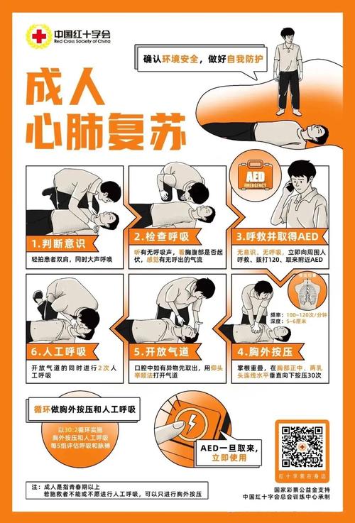 急救实用常识 - 实用的急救知识-第3张图片-牛逼常识网 急救实用常识 - 实用的急救知识-第3张图片-牛逼常识网