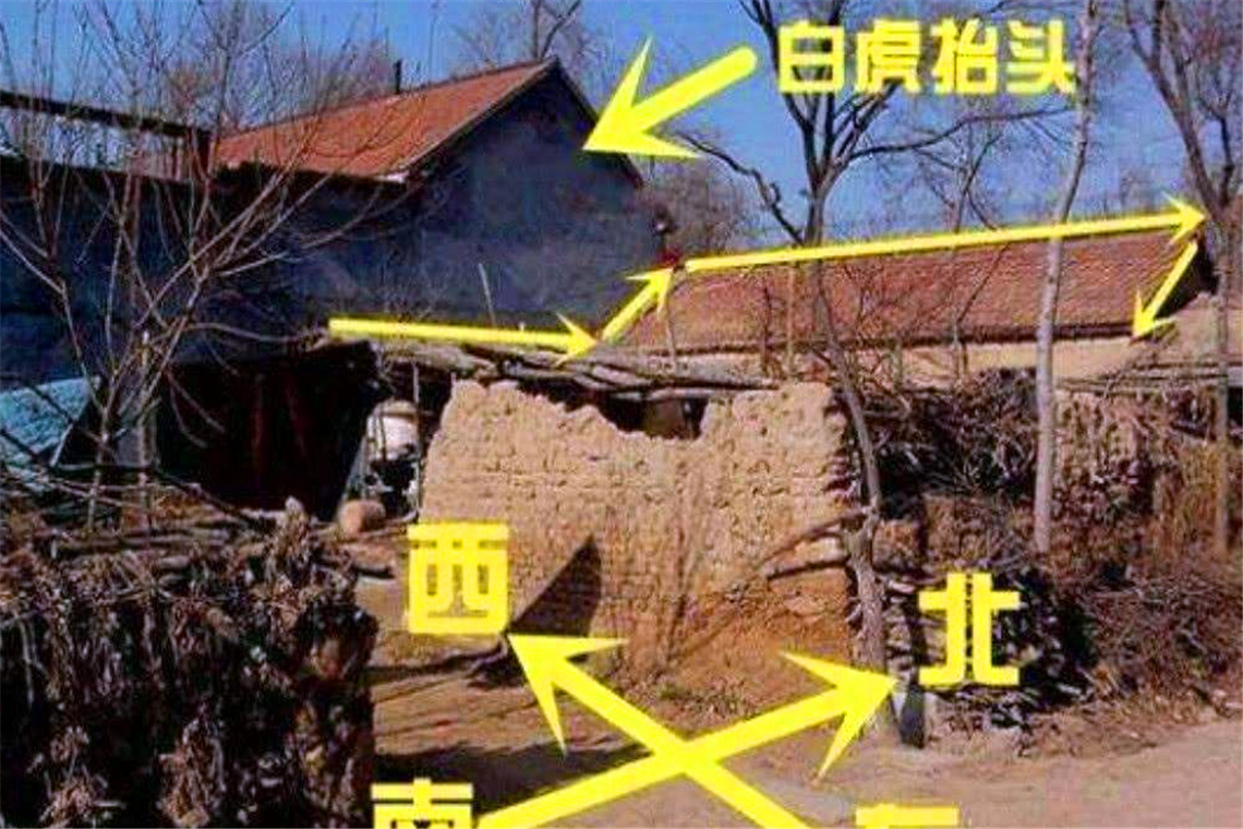家人没有常识,父母没有常识-第1张图片-牛逼常识网 家人没有常识,父母没有常识-第1张图片-牛逼常识网