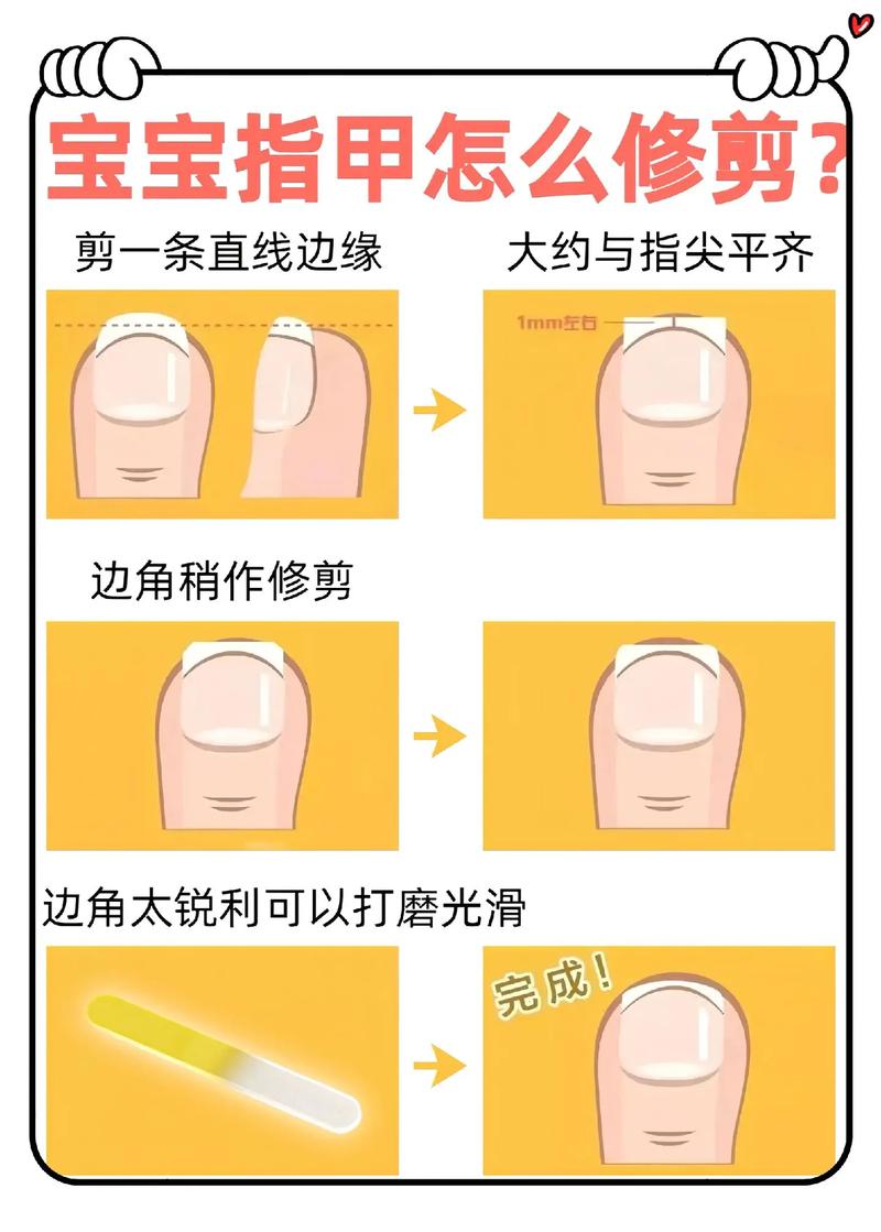 指甲生长常识(指甲生长原理图解)-第2张图片-牛逼常识网 指甲生长常识(指甲生长原理图解)-第2张图片-牛逼常识网