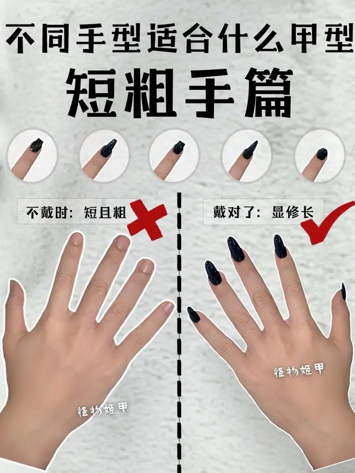 指甲生长常识(指甲生长原理图解)-第4张图片-牛逼常识网 指甲生长常识(指甲生长原理图解)-第4张图片-牛逼常识网