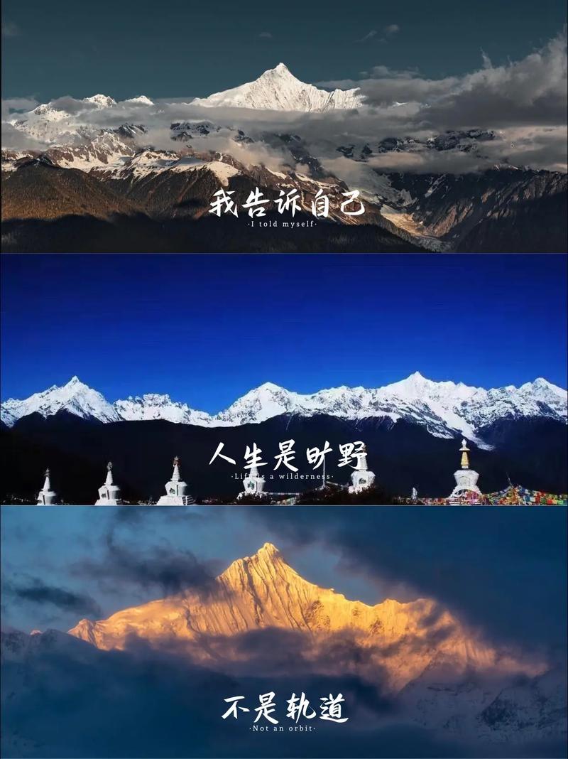文化常识师旅,文化常识知识竞赛题库-第8张图片-牛逼常识网 文化常识师旅,文化常识知识竞赛题库-第8张图片-牛逼常识网
