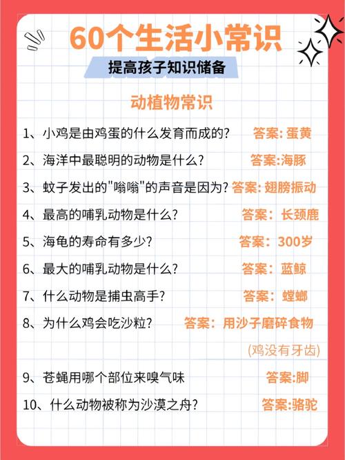 常识教育阅读(教育常识读书心得)-第3张图片-牛逼常识网 常识教育阅读(教育常识读书心得)-第3张图片-牛逼常识网