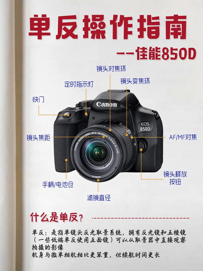 生活常识标头(生活小常识图标)-第1张图片-牛逼常识网 生活常识标头(生活小常识图标)-第1张图片-牛逼常识网