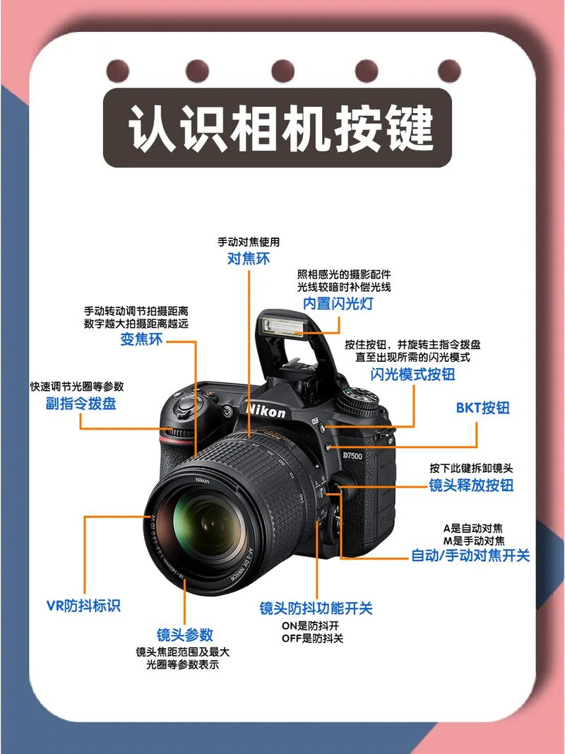 生活常识标头(生活小常识图标)-第5张图片-牛逼常识网 生活常识标头(生活小常识图标)-第5张图片-牛逼常识网