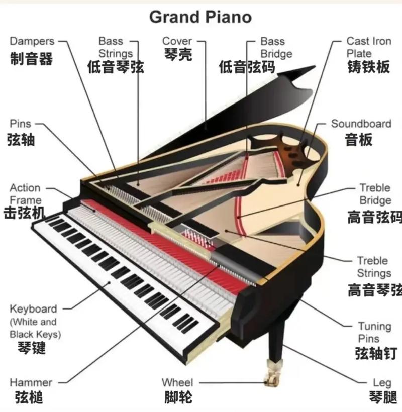 钢琴结构常识,钢琴结构常识总结-第2张图片-牛逼常识网 钢琴结构常识,钢琴结构常识总结-第2张图片-牛逼常识网
