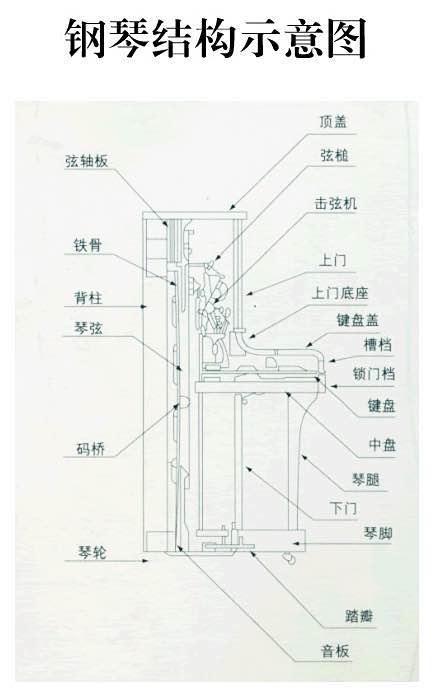 钢琴结构常识,钢琴结构常识总结-第3张图片-牛逼常识网 钢琴结构常识,钢琴结构常识总结-第3张图片-牛逼常识网