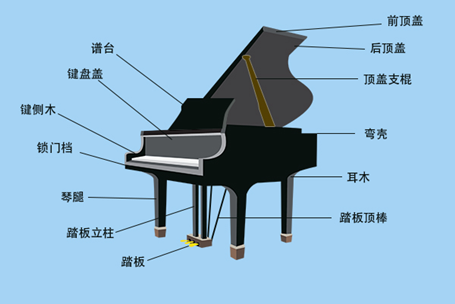 钢琴结构常识,钢琴结构常识总结-第7张图片-牛逼常识网 钢琴结构常识,钢琴结构常识总结-第7张图片-牛逼常识网