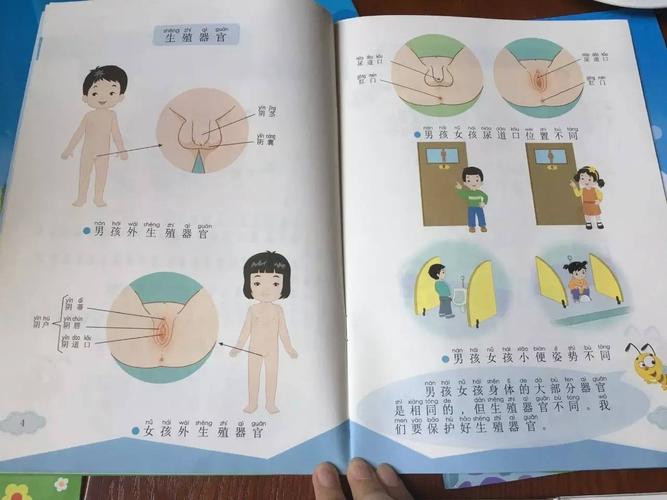 常识改变器h - 改变常识控制-第1张图片-牛逼常识网 常识改变器h - 改变常识控制-第1张图片-牛逼常识网
