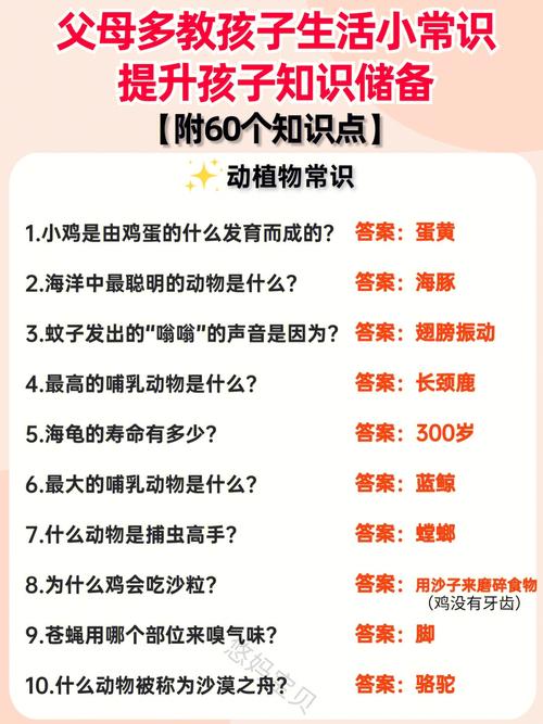 生活安全常识问答(生活安全常识问答题及答案)-第3张图片-牛逼常识网 生活安全常识问答(生活安全常识问答题及答案)-第3张图片-牛逼常识网