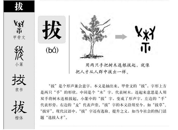 拔士文言常识,文言实词 拔-第4张图片-牛逼常识网 拔士文言常识,文言实词 拔-第4张图片-牛逼常识网