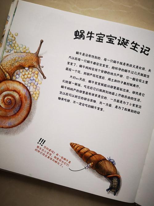 科学常识绘本 - 科学类绘本-第1张图片-牛逼常识网 科学常识绘本 - 科学类绘本-第1张图片-牛逼常识网