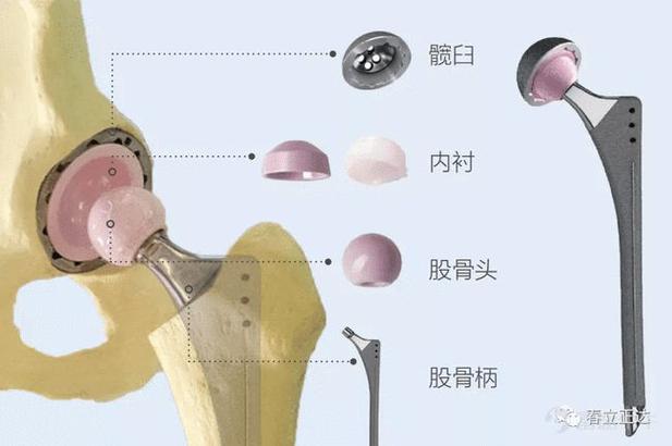 常识置换学校,常识置换学长-第3张图片-牛逼常识网 常识置换学校,常识置换学长-第3张图片-牛逼常识网