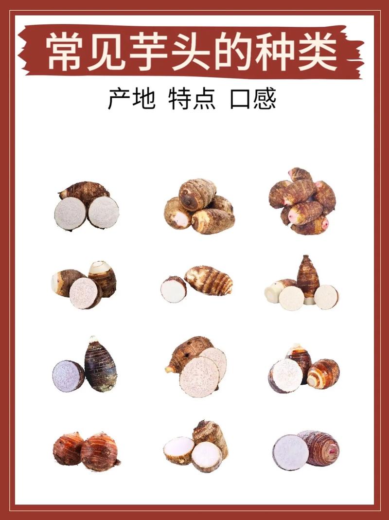 红暑储藏常识,红暑储存的温度-第4张图片-牛逼常识网 红暑储藏常识,红暑储存的温度-第4张图片-牛逼常识网