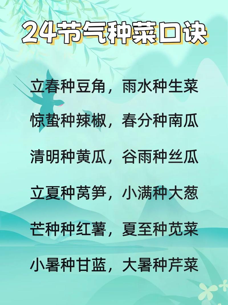 种菜生活常识(种菜生活常识怎么写)-第1张图片-牛逼常识网 种菜生活常识(种菜生活常识怎么写)-第1张图片-牛逼常识网