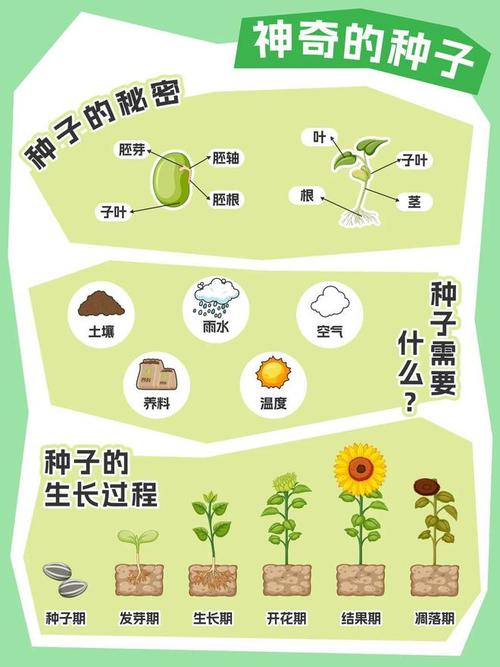种菜生活常识(种菜生活常识怎么写)-第4张图片-牛逼常识网 种菜生活常识(种菜生活常识怎么写)-第4张图片-牛逼常识网