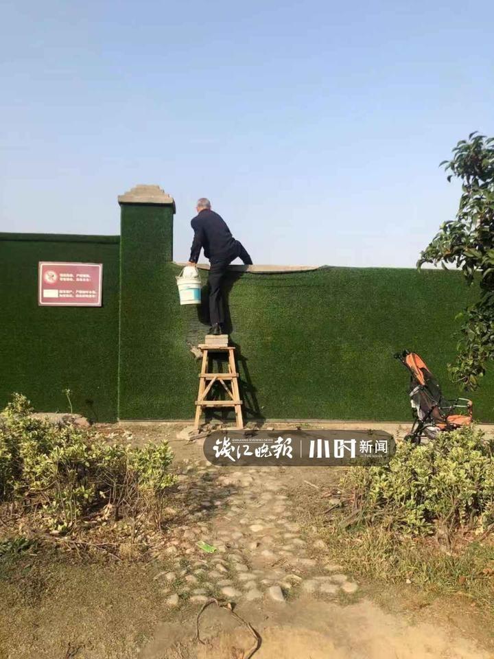 种菜生活常识(种菜生活常识怎么写)-第6张图片-牛逼常识网 种菜生活常识(种菜生活常识怎么写)-第6张图片-牛逼常识网