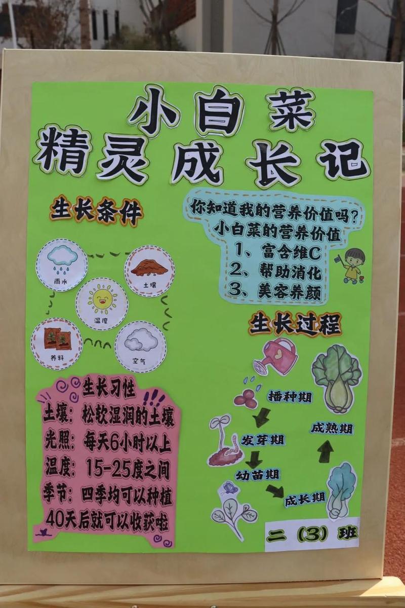 后稷文化常识(后稷文化手抄报内容)-第6张图片-牛逼常识网 后稷文化常识(后稷文化手抄报内容)-第6张图片-牛逼常识网
