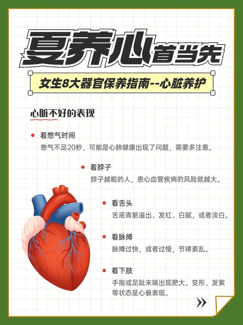 心脏养护常识 - 心脏养护常识内容-第3张图片-牛逼常识网 心脏养护常识 - 心脏养护常识内容-第3张图片-牛逼常识网