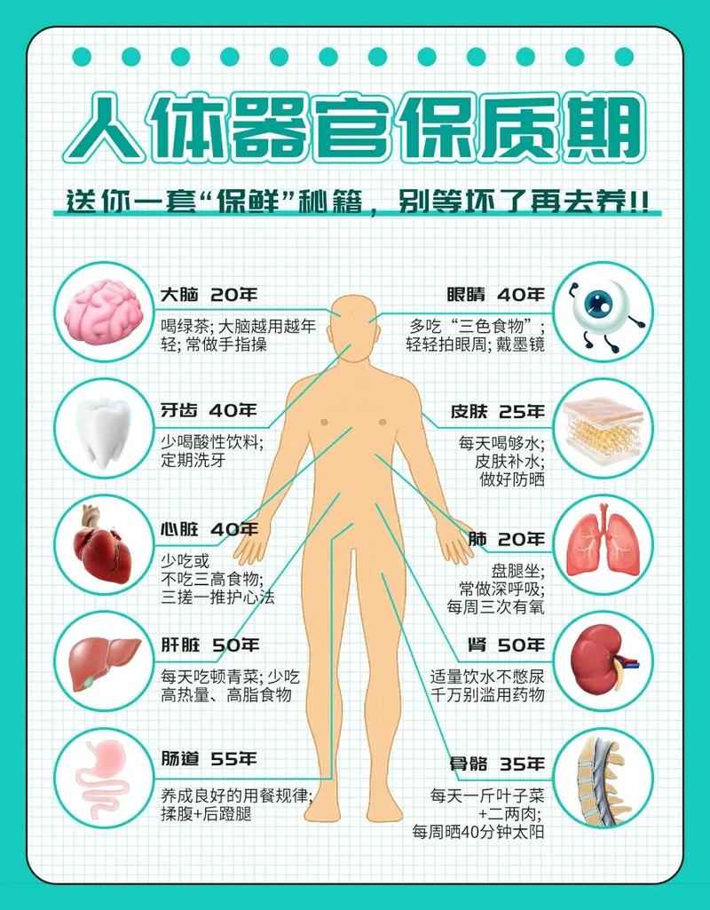 心脏外科常识,心脏外科常识知识点-第5张图片-牛逼常识网 心脏外科常识,心脏外科常识知识点-第5张图片-牛逼常识网