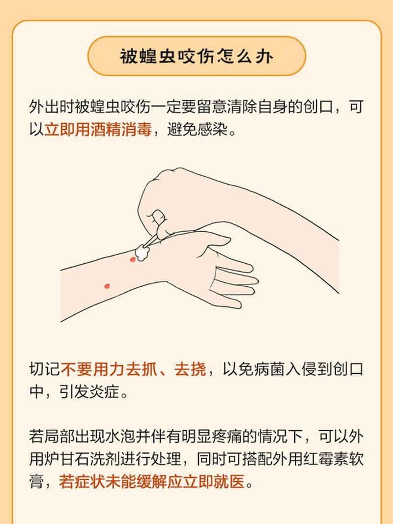 非洲蝗虫常识(非洲蝗虫百度百科)-第2张图片-牛逼常识网 非洲蝗虫常识(非洲蝗虫百度百科)-第2张图片-牛逼常识网