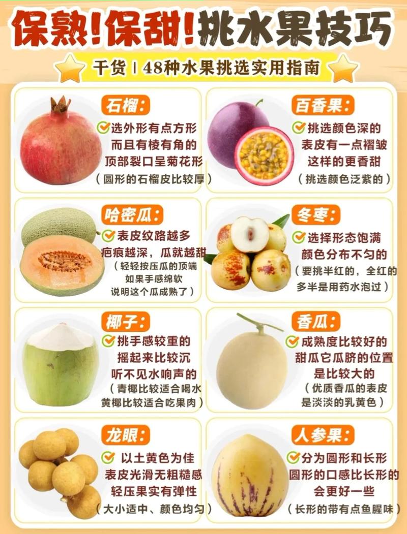 水果常识大全集,70种水果常识大全名字-第6张图片-牛逼常识网 水果常识大全集,70种水果常识大全名字-第6张图片-牛逼常识网