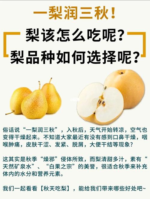梨的健康常识,梨营养知识-第8张图片-牛逼常识网 梨的健康常识,梨营养知识-第8张图片-牛逼常识网