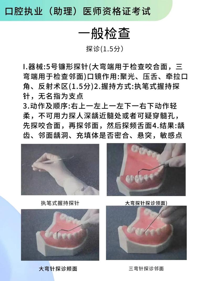 牙医基础常识,牙医小知识-第5张图片-牛逼常识网 牙医基础常识,牙医小知识-第5张图片-牛逼常识网