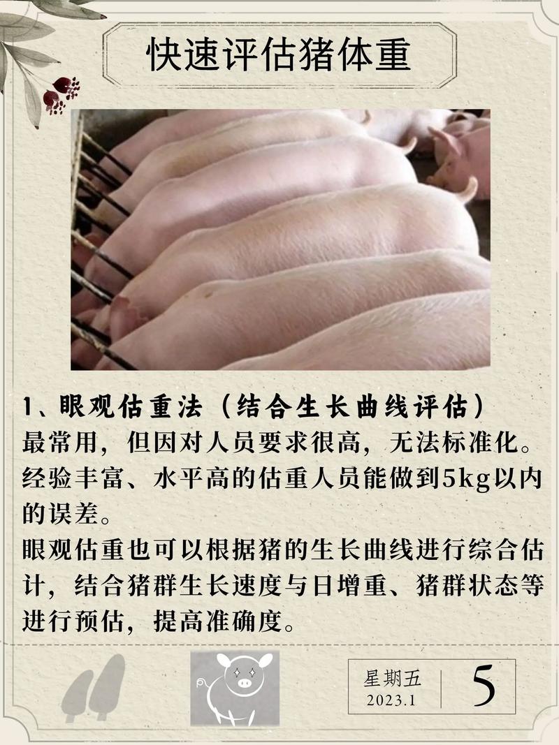 肉猪养殖常识,肉猪养殖常识培训-第5张图片-牛逼常识网 肉猪养殖常识,肉猪养殖常识培训-第5张图片-牛逼常识网