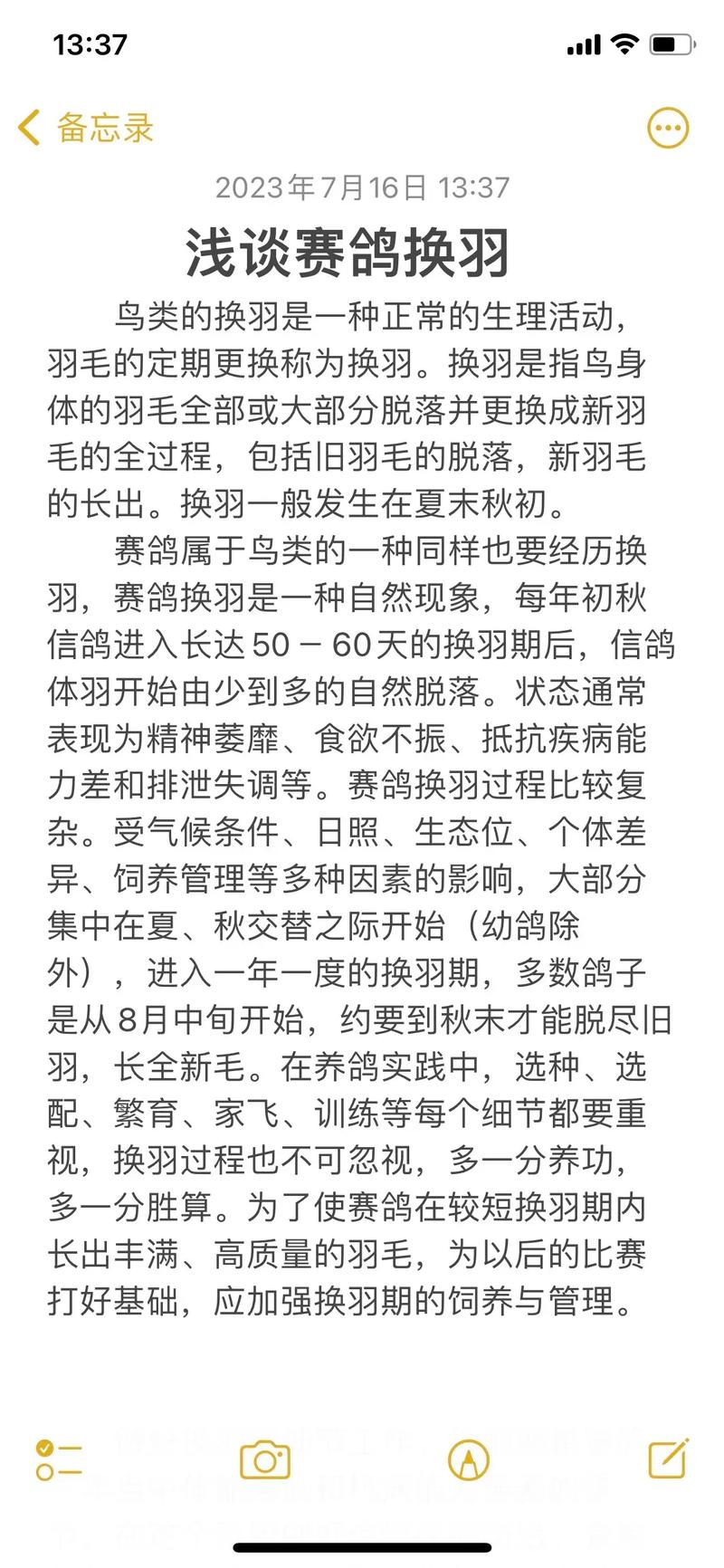 种鸽配对常识,种鸽配对知识-第5张图片-牛逼常识网 种鸽配对常识,种鸽配对知识-第5张图片-牛逼常识网