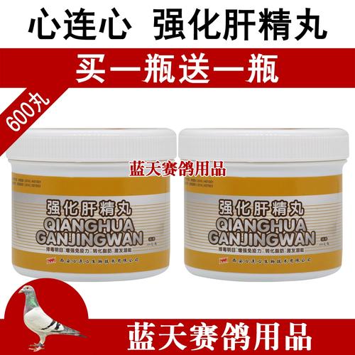 种鸽配对常识,种鸽配对知识-第7张图片-牛逼常识网 种鸽配对常识,种鸽配对知识-第7张图片-牛逼常识网
