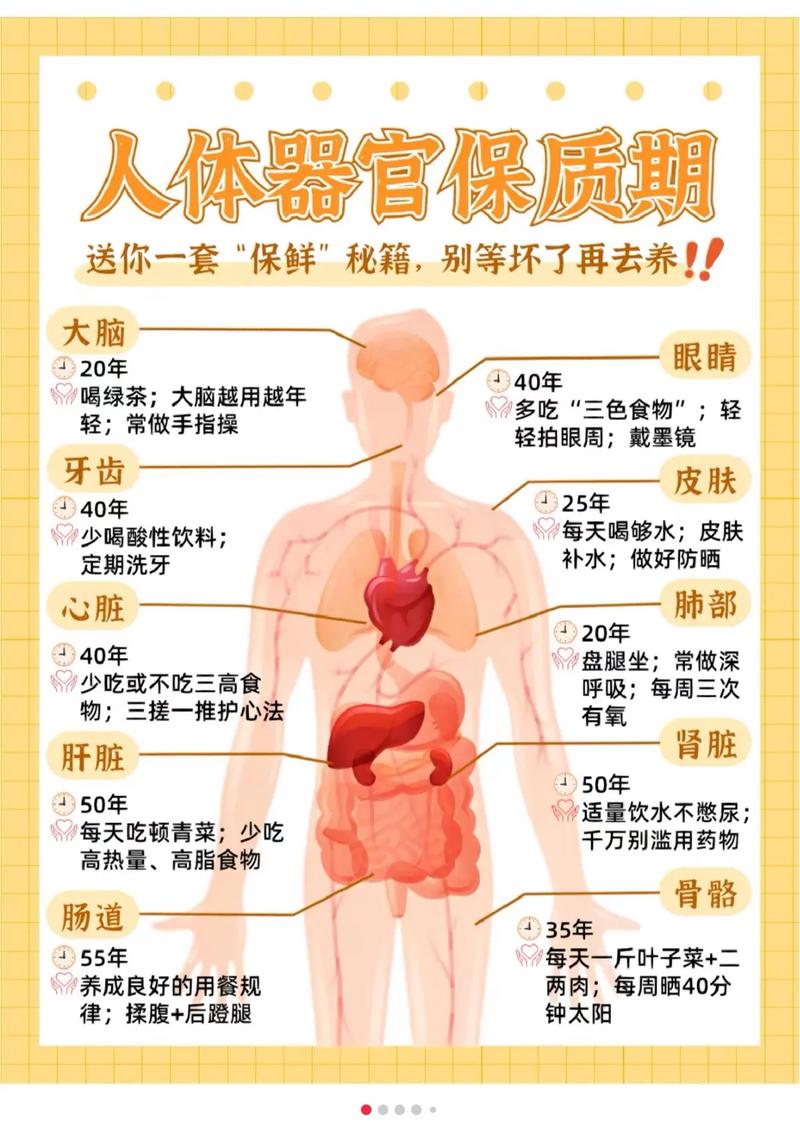人体生物常识科普,人体生物学常识-第1张图片-牛逼常识网 人体生物常识科普,人体生物学常识-第1张图片-牛逼常识网