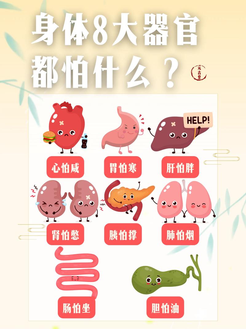 人体生物常识科普,人体生物学常识-第2张图片-牛逼常识网 人体生物常识科普,人体生物学常识-第2张图片-牛逼常识网