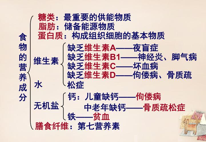 人体生物常识科普,人体生物学常识-第6张图片-牛逼常识网 人体生物常识科普,人体生物学常识-第6张图片-牛逼常识网