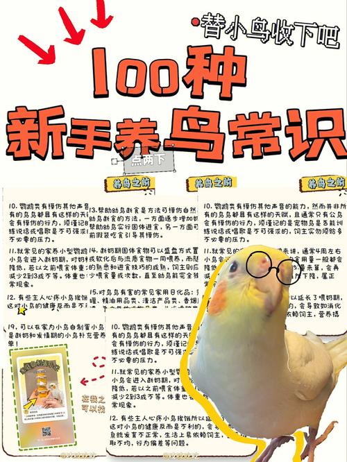 怎样保护鸟类的常识,应该如何保护鸟儿呢?-第2张图片-牛逼常识网 怎样保护鸟类的常识,应该如何保护鸟儿呢?-第2张图片-牛逼常识网