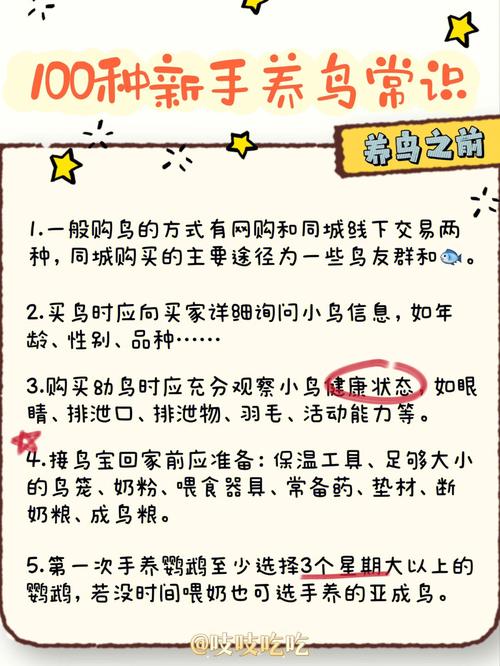 怎样保护鸟类的常识,应该如何保护鸟儿呢?-第3张图片-牛逼常识网 怎样保护鸟类的常识,应该如何保护鸟儿呢?-第3张图片-牛逼常识网