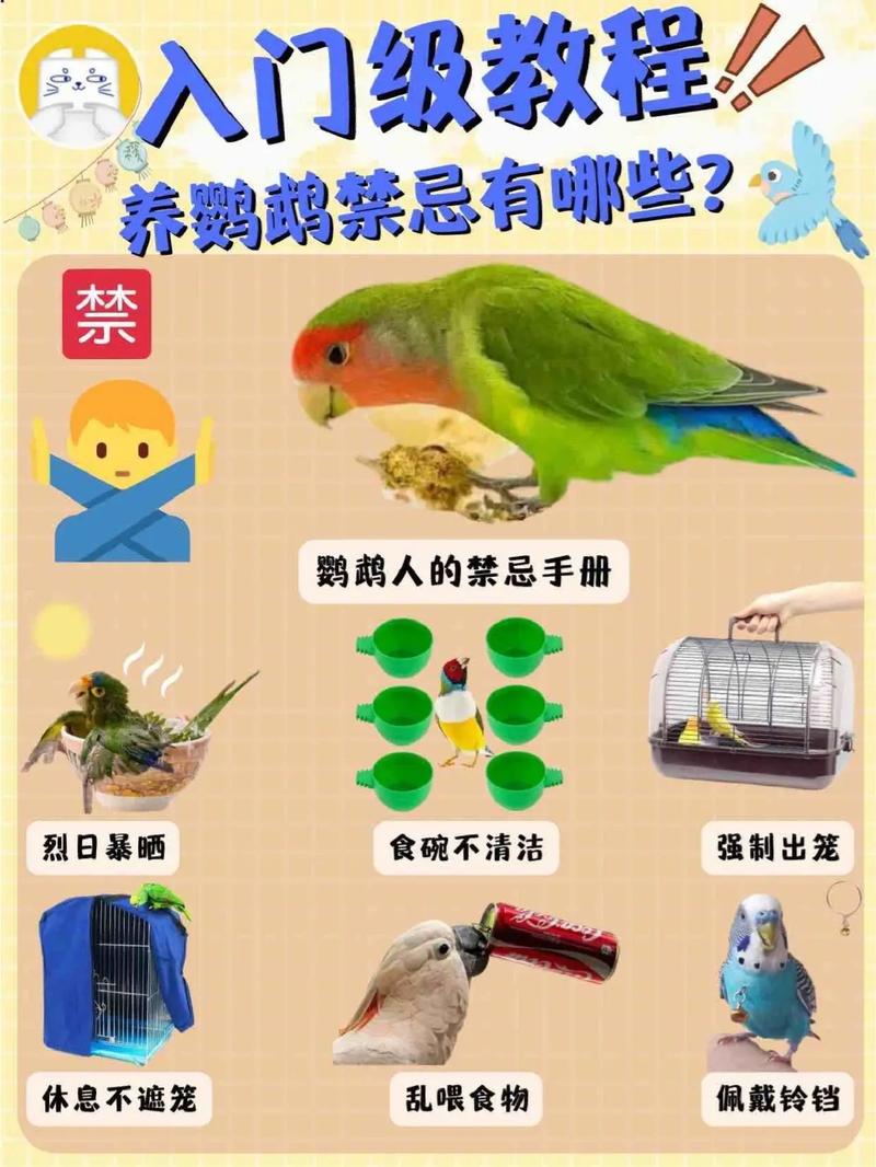 怎样保护鸟类的常识,应该如何保护鸟儿呢?-第5张图片-牛逼常识网 怎样保护鸟类的常识,应该如何保护鸟儿呢?-第5张图片-牛逼常识网