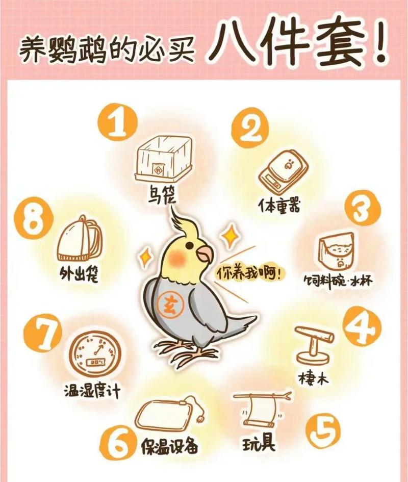 怎样保护鸟类的常识,应该如何保护鸟儿呢?-第6张图片-牛逼常识网 怎样保护鸟类的常识,应该如何保护鸟儿呢?-第6张图片-牛逼常识网